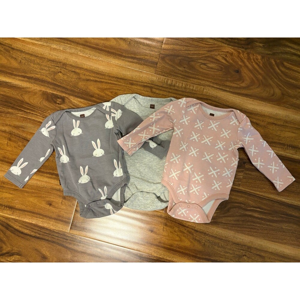 Tea Collection Bodysuit Set, Size 3-6 months